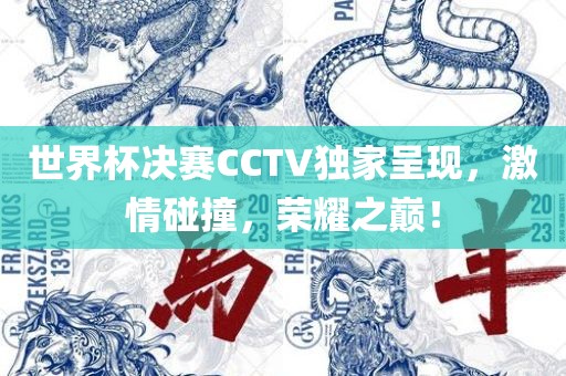 世界杯决赛CCTV独家呈现，激情碰撞，荣耀之巅！