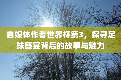 自媒体作者世界杯第3，探寻足球盛宴背后的故事与魅力