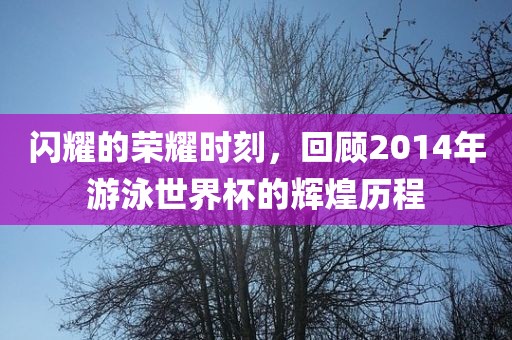 闪耀的荣耀时刻，回顾2014年游泳世界杯的辉煌历程