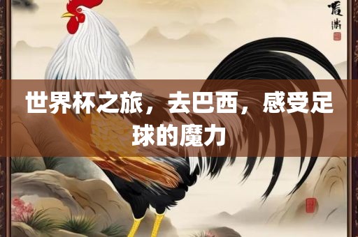 世界杯之旅，去巴西，感受足球的魔力