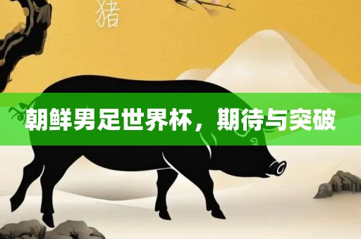 朝鲜男足世界杯，期待与突破
