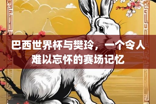 巴西世界杯与樊玲，一个令人难以忘怀的赛场记忆