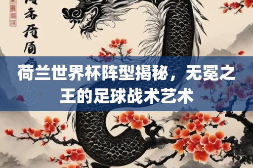 荷兰世界杯阵型揭秘，无冕之王的足球战术艺术