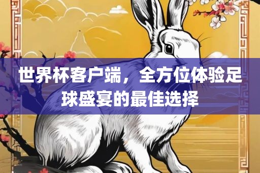 世界杯客户端，全方位体验足球盛宴的最佳选择