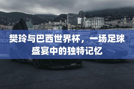 樊玲与巴西世界杯，一场足球盛宴中的独特记忆