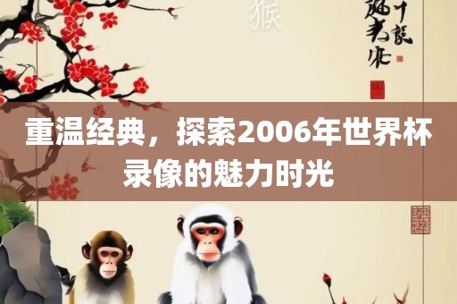 重温经典，探索2006年世界杯录像的魅力时光