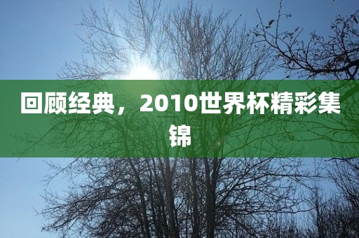 回顾经典，2010世界杯精彩集锦