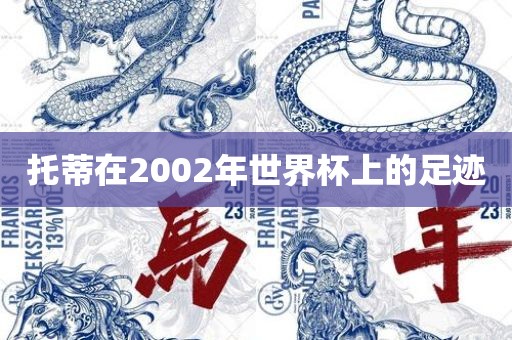 托蒂在2002年世界杯上的足迹