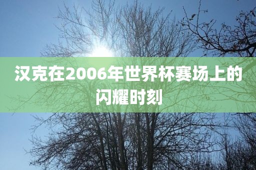 汉克在2006年世界杯赛场上的闪耀时刻