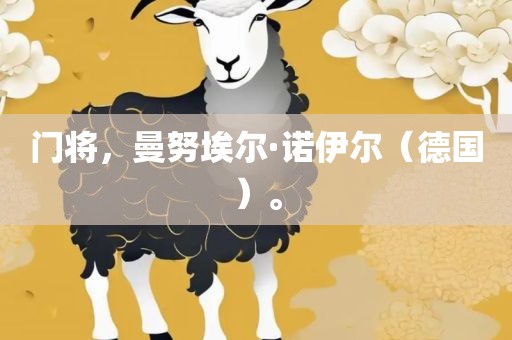 门将，曼努埃尔·诺伊尔（德国）。