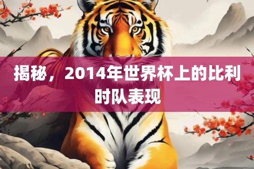 揭秘，2014年世界杯上的比利时队表现