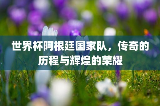 世界杯阿根廷国家队，传奇的历程与辉煌的荣耀