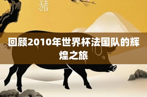 回顾2010年世界杯法国队的辉煌之旅