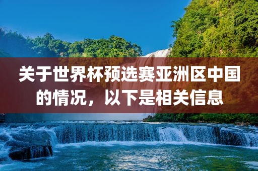 关于世界杯预选赛亚洲区中国的情况，以下是相关信息
