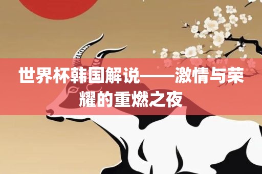 世界杯韩国解说——激情与荣耀的重燃之夜