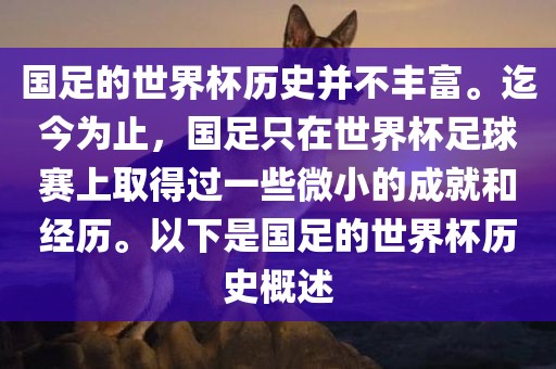 国足的世界杯历史并不丰富。迄今为止，国足只在世界杯足球赛上取得过一些微小的成就和经历。以下是国足的世界杯历史概述