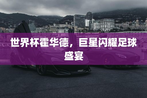 世界杯霍华德，巨星闪耀足球盛宴