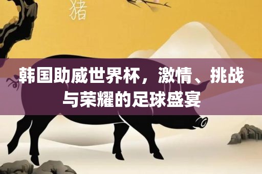 韩国助威世界杯，激情、挑战与荣耀的足球盛宴
