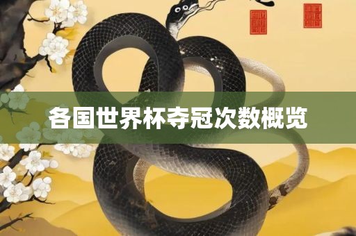 各国世界杯夺冠次数概览