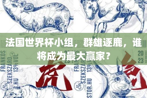 法国世界杯小组，群雄逐鹿，谁将成为最大赢家？