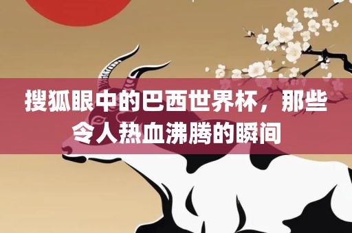 搜狐眼中的巴西世界杯，那些令人热血沸腾的瞬间