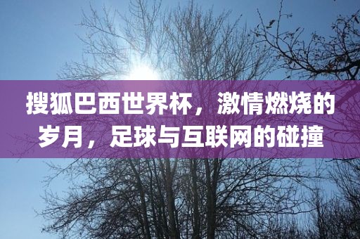 搜狐巴西世界杯，激情燃烧的岁月，足球与互联网的碰撞