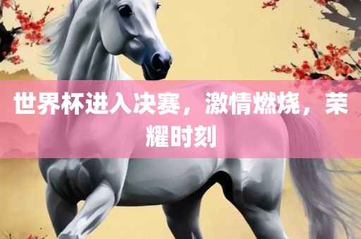 世界杯进入决赛，激情燃烧，荣耀时刻