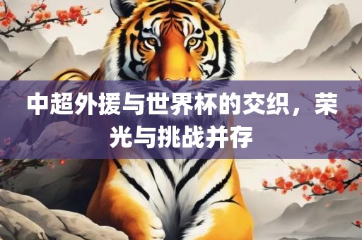 中超外援与世界杯的交织，荣光与挑战并存