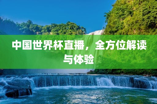 中国世界杯直播，全方眉山市正发家政服务有限公司位解读与体验