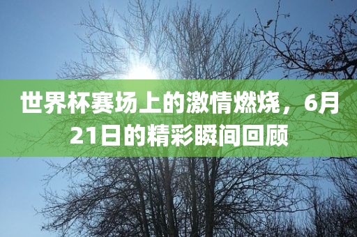 世界杯赛场上的激情燃烧，6月21日的精彩瞬间回顾