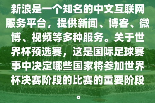 新浪是一个知名的中文互联网服务平台，提供新闻、博客、微博、视频等多种服务。关于世界杯预选赛，这是国际足球赛事中决定哪些国家将参加世界杯决赛阶段的比赛的重要阶段。