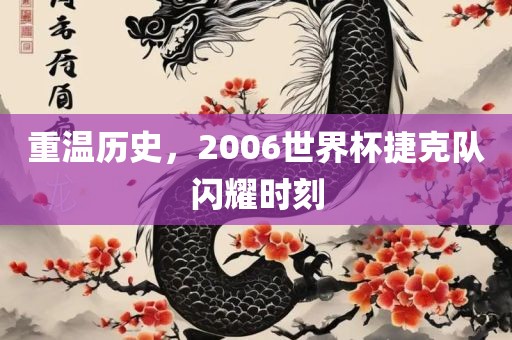 重温历史，2006世界杯捷克队闪耀时刻
