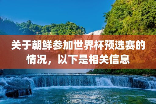 关于朝鲜参加世界杯预选赛的情况，以下是相关信息