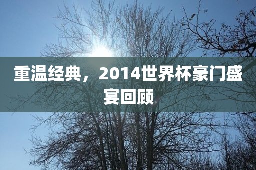 重温经典，2014世界杯豪门盛宴回顾