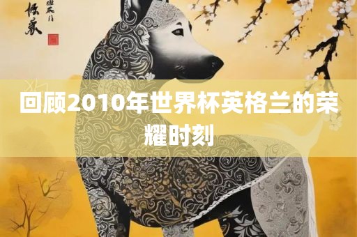 回顾2010年世界杯英格兰的荣耀时刻