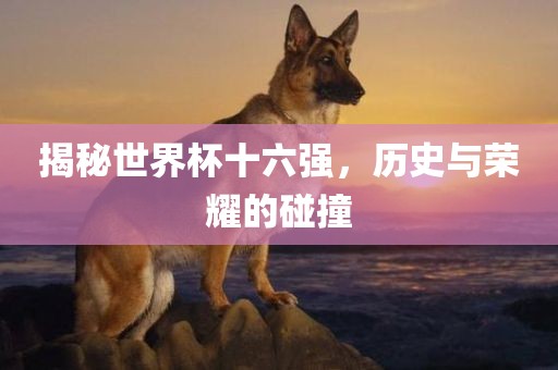 揭秘世界杯十六强，历史与荣耀的碰撞