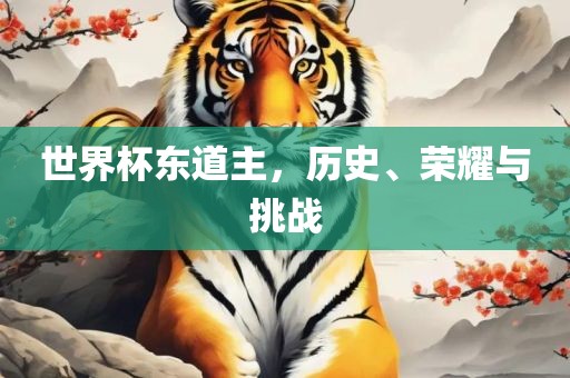 世界杯东道主，历史、荣耀与挑眉山市正发家政服务有限公司战