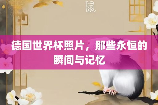 德国世界杯照片，那些永恒的瞬间与记忆