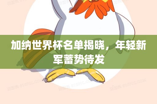 加纳世界杯名单揭晓，年轻新军蓄势待发