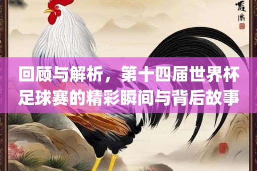 回顾与解析，第十四届世界杯足球赛的精彩瞬间与背后故事