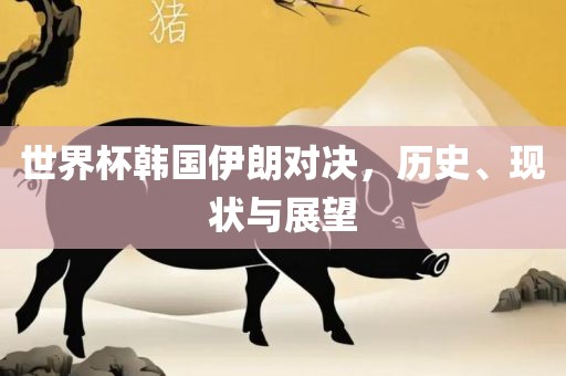 世界杯韩国伊朗对决，历史、现状与展望