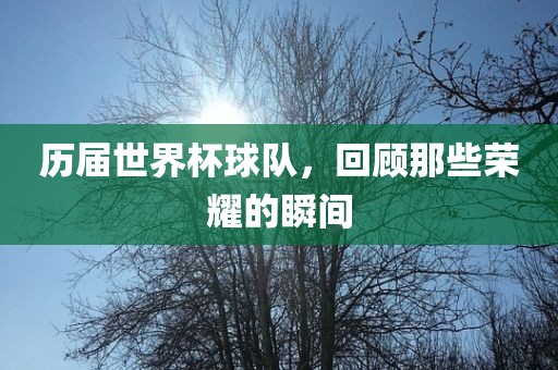 历届世界杯球队，回顾那些荣耀的瞬间