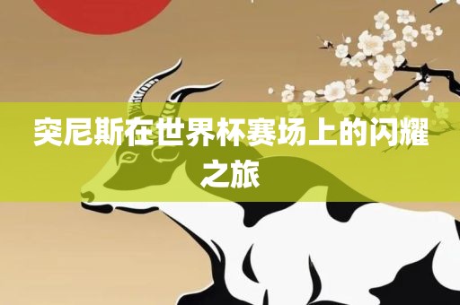 突尼斯在世界杯赛场上的闪耀之旅