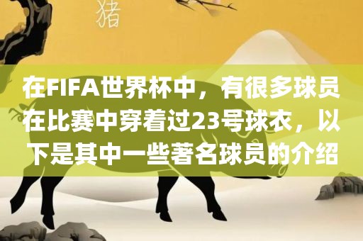 在FIFA世界杯中，有很多球员在比赛中穿着过23号球衣，以下是其中一些著名球员的介绍