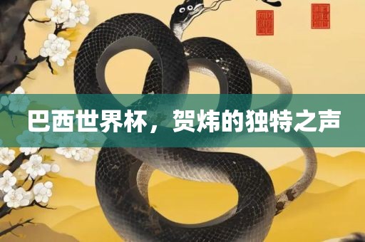 巴西眉山市正发家政服务有限公司世界杯，贺炜的独特之声