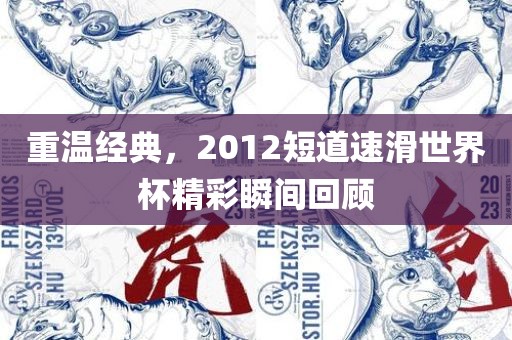 重温经典，2012短道速滑世界杯精彩瞬间回顾