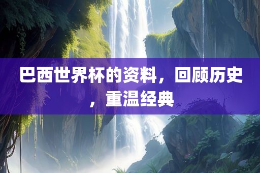 巴西世界杯的资料，回顾历史，重温经典