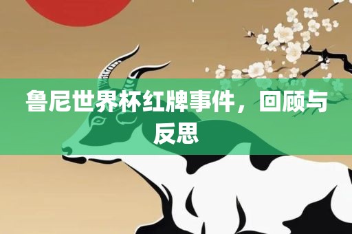 鲁尼世界杯红牌事件，回顾与反思