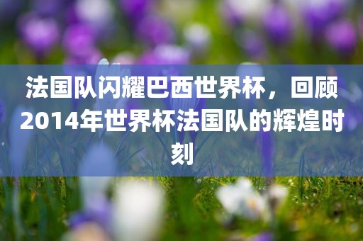 法国队闪耀巴西世界杯，回顾2014年世界杯法国队的辉煌时刻