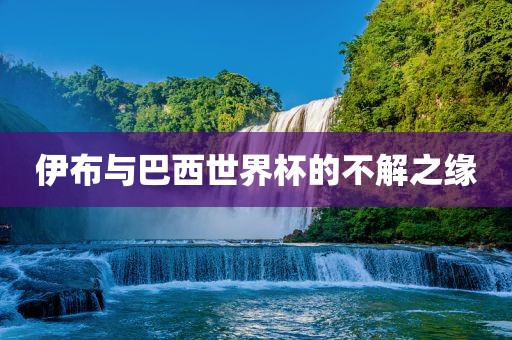 伊布与巴西世界杯的不解之缘